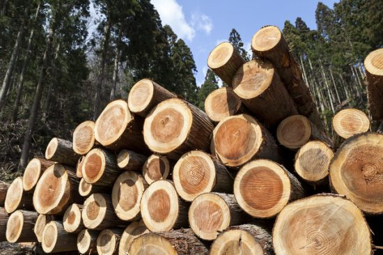 スラムダンク名言 その１ 敗因はこの私 八王子の不動産 浅川不動産