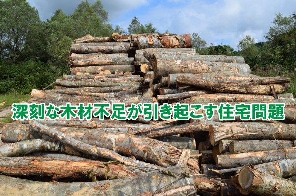 深刻な木材不足が引き起こす住宅問題の画像