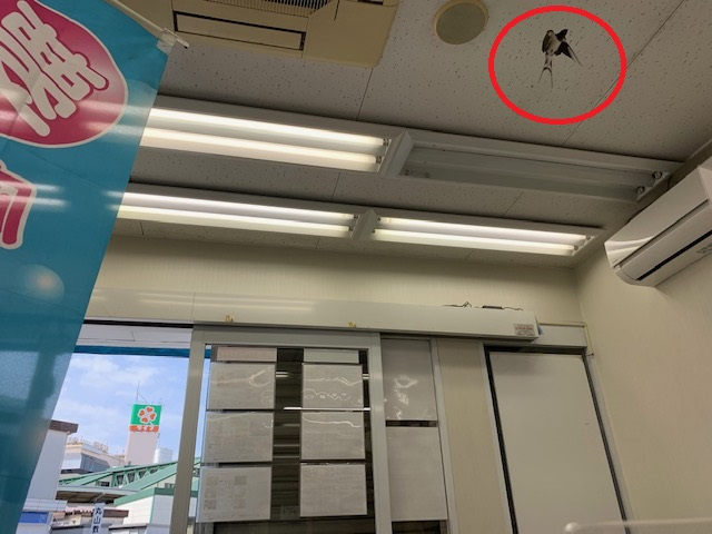 ご来店ありがとうございます♪の画像