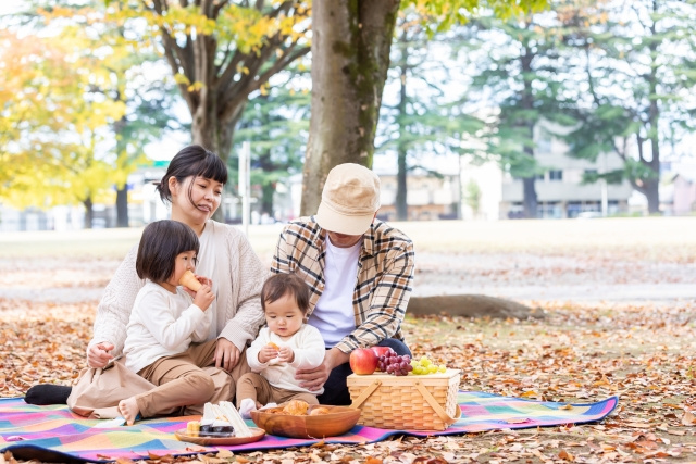 密を避けた外出に 鹿児島県姶良市でおすすめの公園をご紹介 姶良市 霧島市の土地専門の不動産会社ならサン スター株式会社