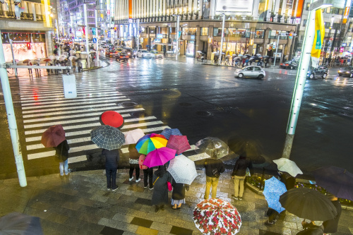 梅雨入りですね☆の画像