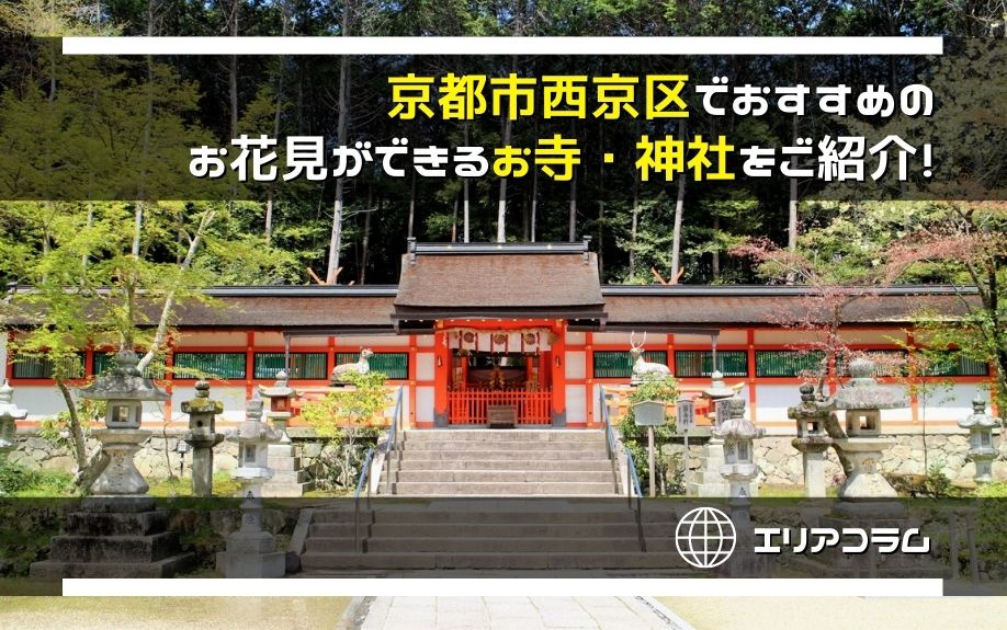京都市西京区でおすすめのお花見ができるお寺・神社をご紹介！の画像
