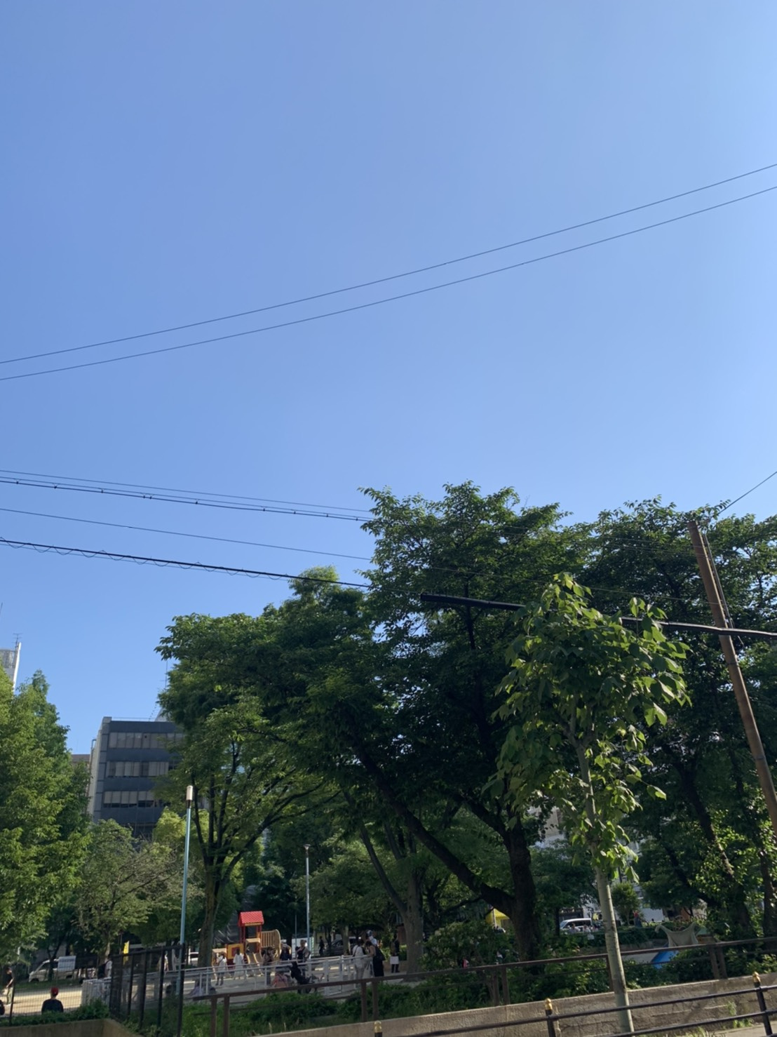 堀江エリア♬今日は天気が良くって清々しい♬の画像