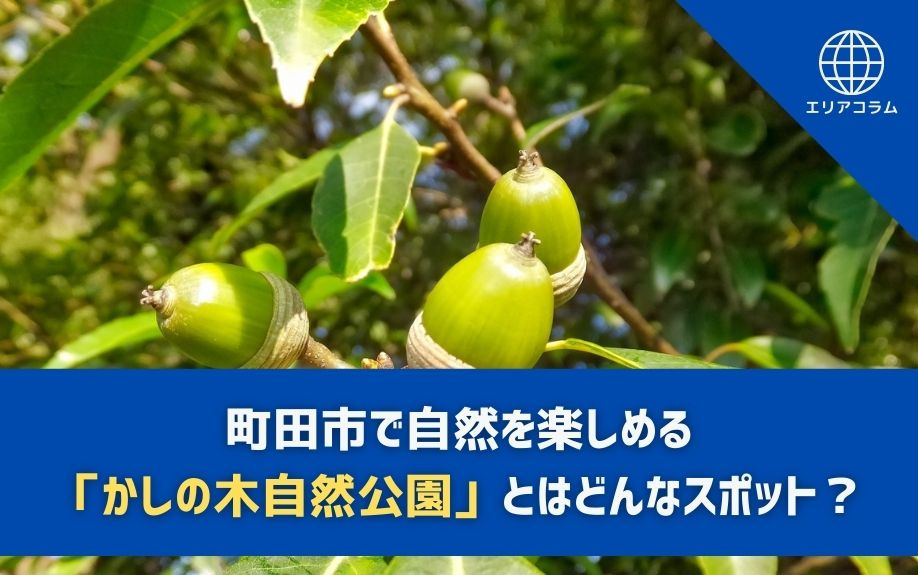 町田市で自然を楽しめる「かしの木自然公園」とはどんなスポット...の画像