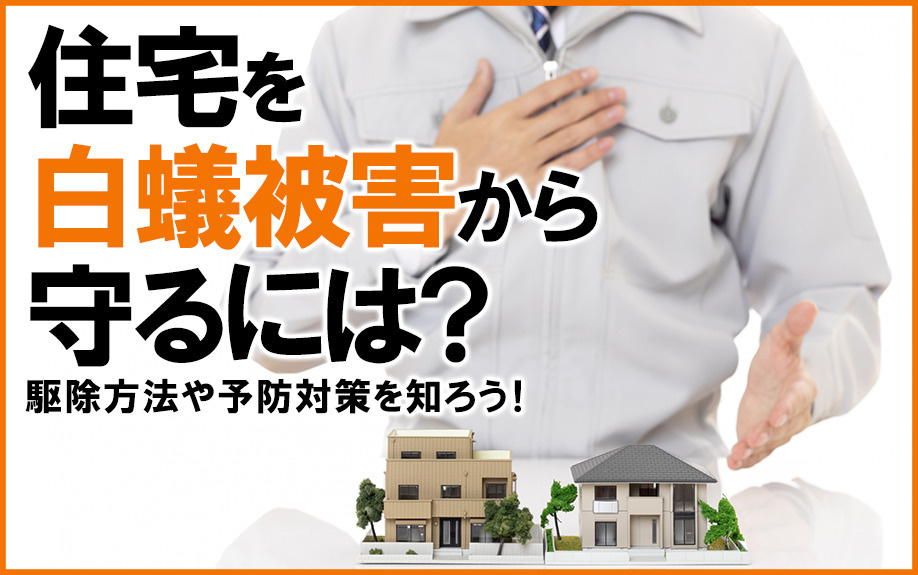 住宅を白蟻被害から守るには？駆除方法や予防対策を知ろう！の画像