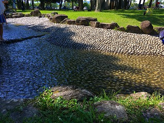 「水遊び」の画像