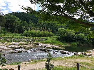 「水遊び」の画像