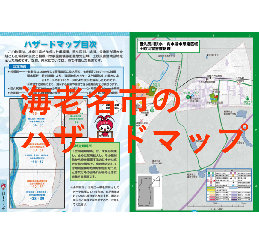 海老名市ハザードマップの画像