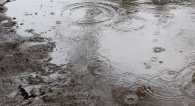 雨模様の日が続きますね。の画像
