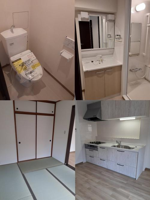 本日の新着情報！！の画像