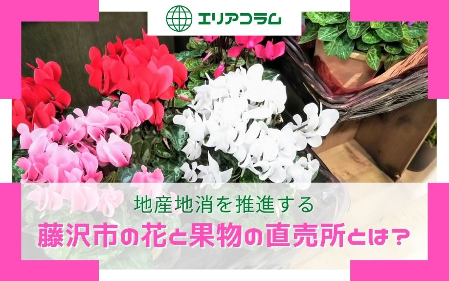 地産地消を推進する藤沢市の花と果物の直売所とは？の画像