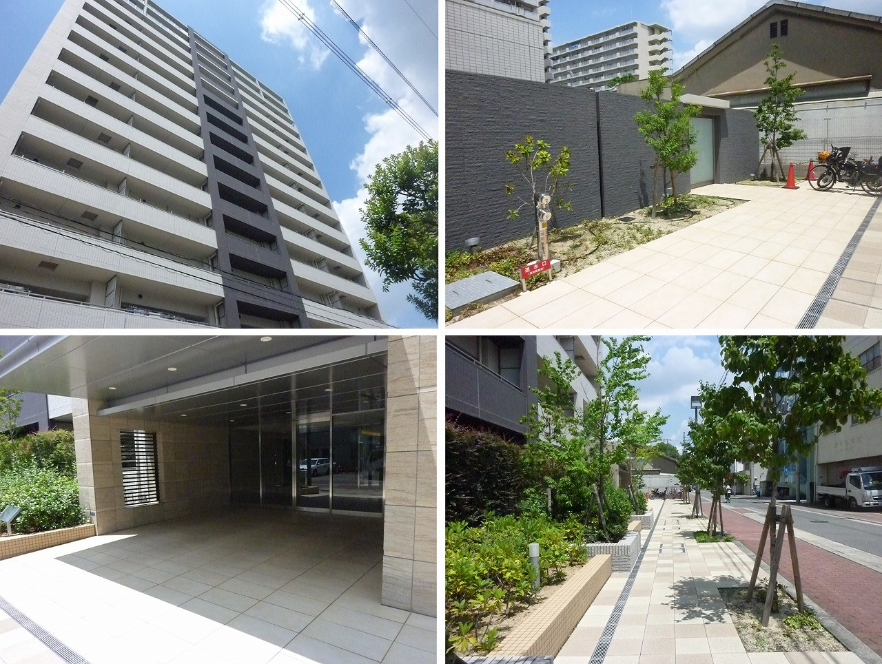 本日の新着情報！！の画像