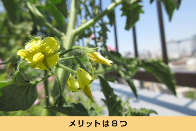 屋上庭園を設置するメリットとデメリットとは 費用の目安やアイデアも解説 センチュリー21グローバル不動産販売