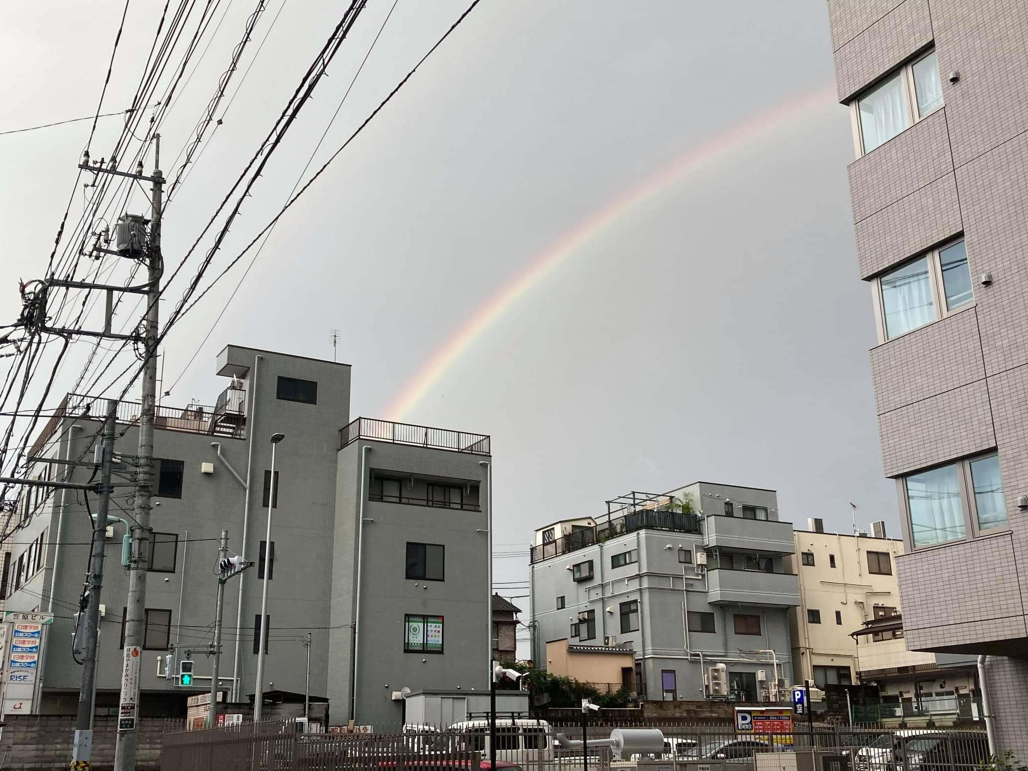 梅雨明けしましたね～の画像