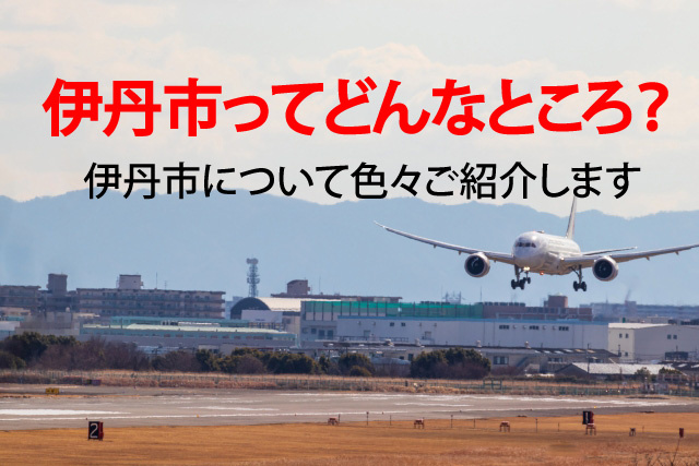 ブログ記事トップ画像