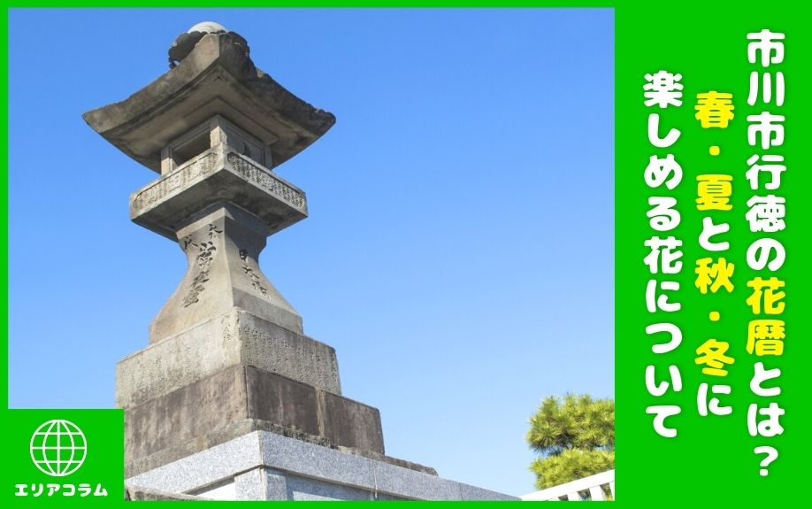 市川市行徳の花暦とは？春・夏と秋・冬に楽しめる花についての画像