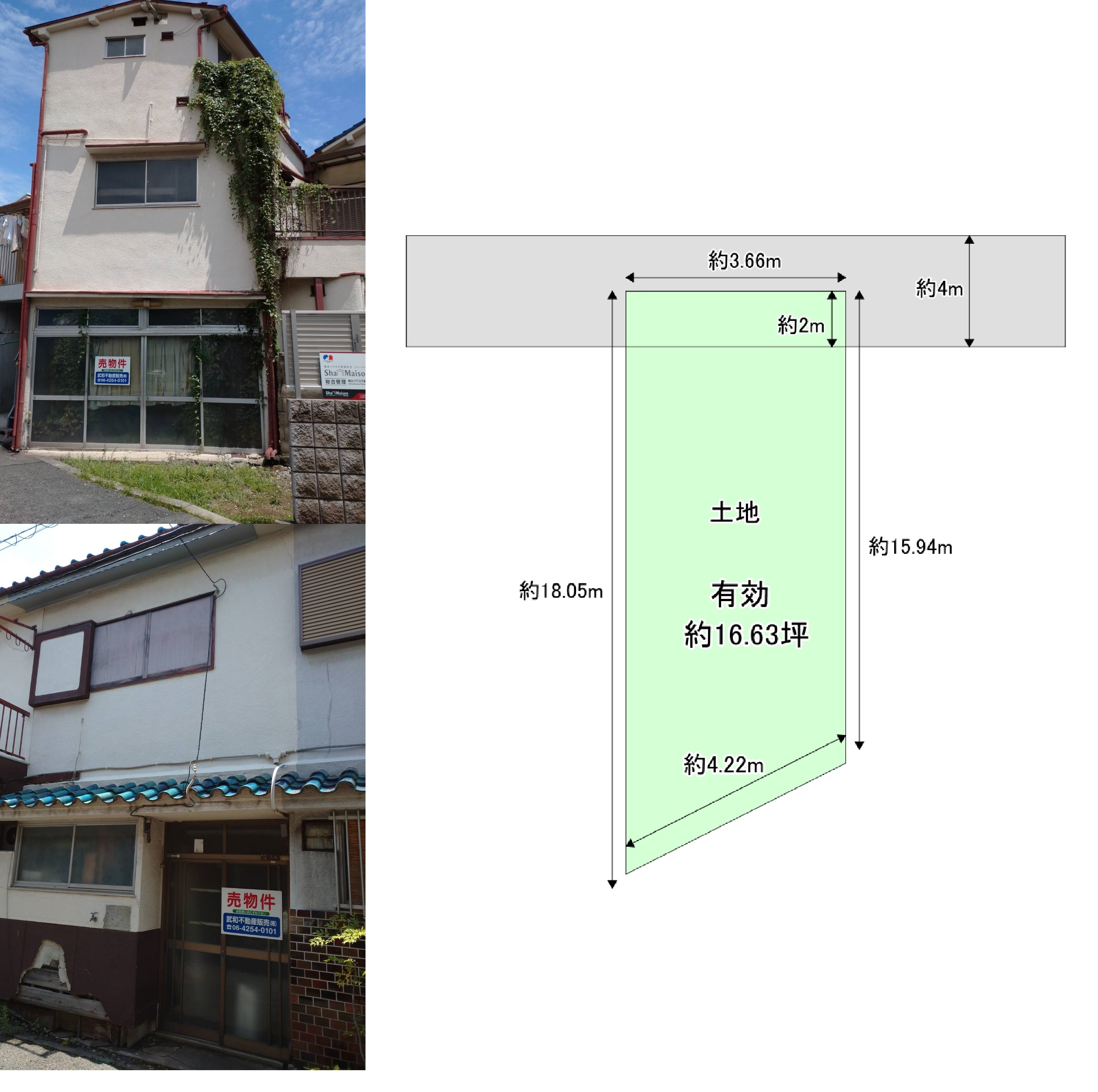 本日の新着情報！！の画像