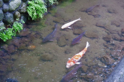 大田区蒲田にあるおすすめのスポットとは 蒲田 大田区エリアの不動産は株式会社kenty不動産蒲田本店にお任せ