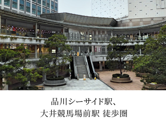 品川八潮ショップ 品川区八潮 八潮パークタウンの不動産売買 賃貸マンション情報 ロイヤルハウジンググループの仲介 品川八潮ショップ 品川区八潮 八潮パークタウンの不動産売買 賃貸マンション情報 ロイヤルハウジンググループの仲介