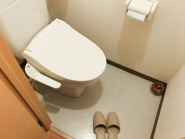 戸建て住宅の2階にトイレを設置するとどんなメリットや注意点が...の画像