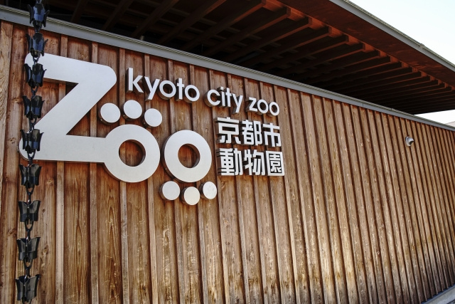 京都市動物園にいる動物と見どころや特徴についての画像