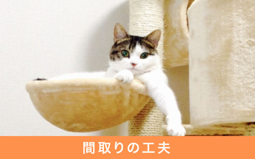 ペットと暮らす際の注文住宅の工夫の仕方を紹介 リビングボイス