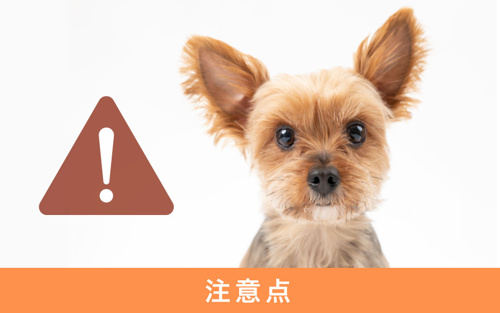 ペットと暮らす際の注文住宅の工夫の仕方を紹介 リビングボイス