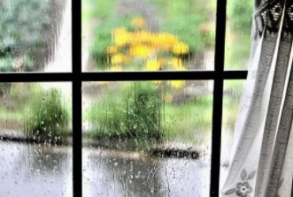 せっかくの週末がまた今日も雨模様で・・の画像