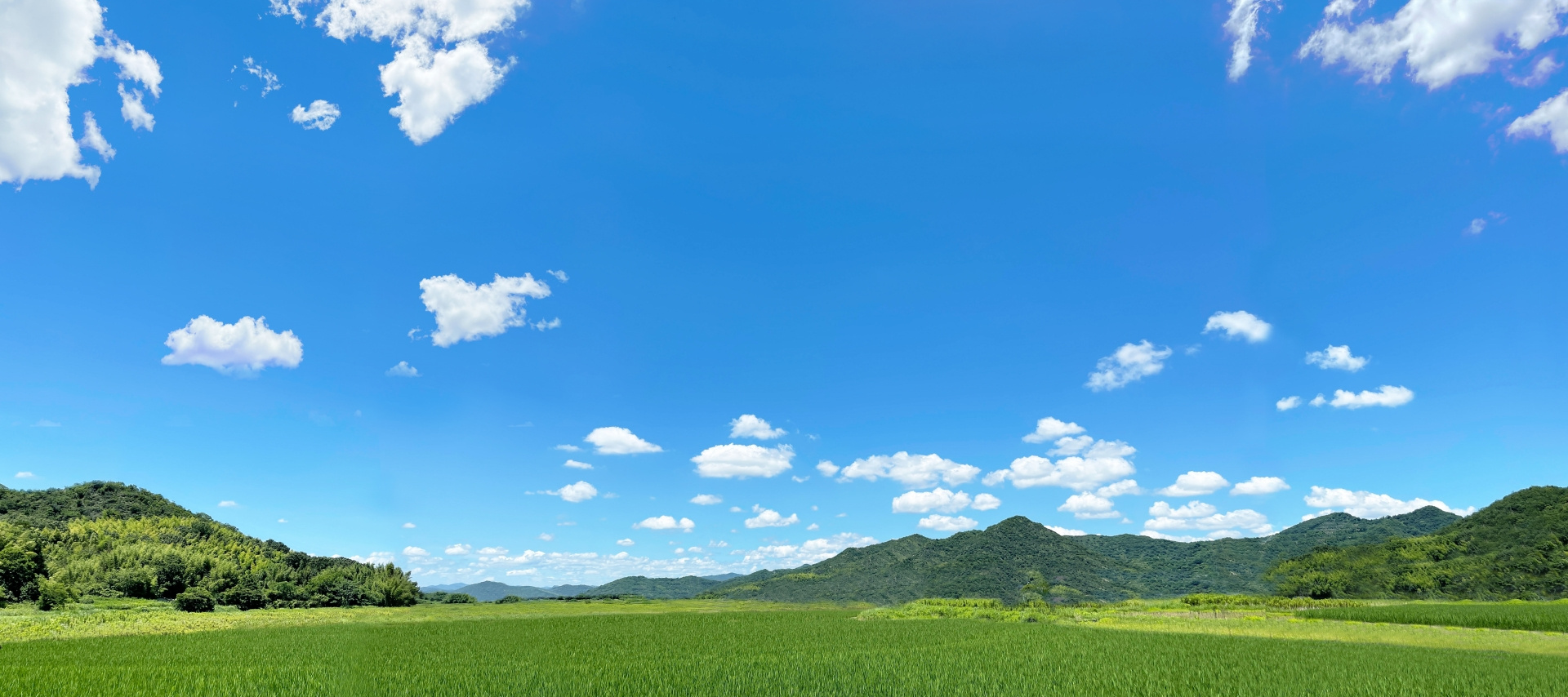 大阪の登山おすすめ3選の画像