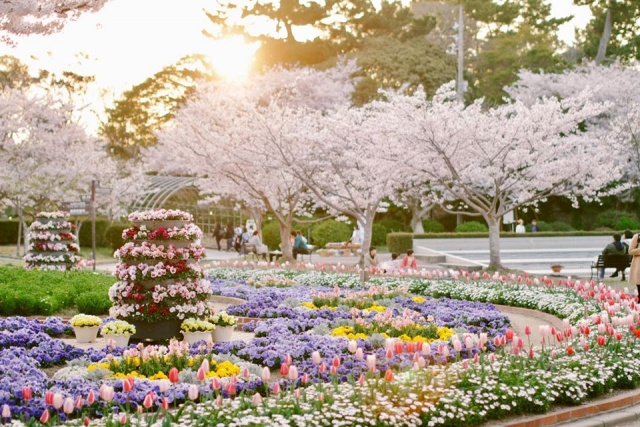 宇部市の「ときわ公園」とは？子どもが喜ぶ遊園地やイベントも楽...の画像