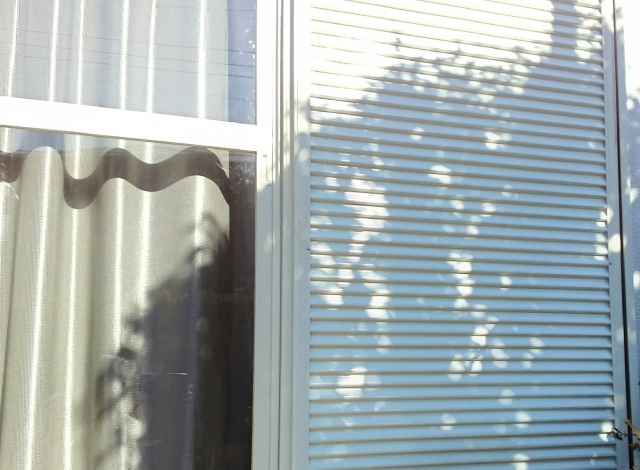 マンションで行える台風対策 少しでも被害を抑える方法とは 奈良賃貸のマサキ