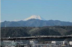 今年は雨の日が続きますね・・の画像