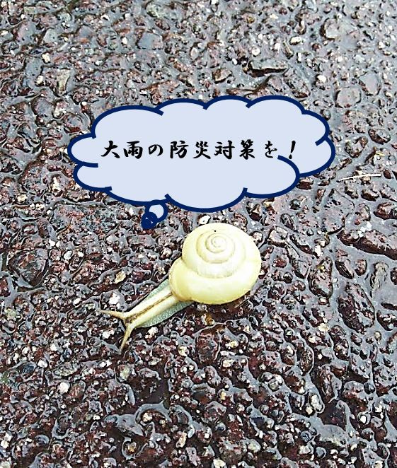 大雨の防災対策は何が必要？大きな被害を受ける前にやっておきた...の画像