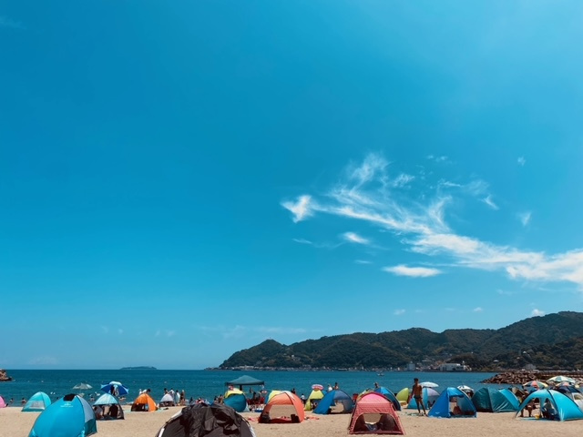 夏の思い出♪の画像