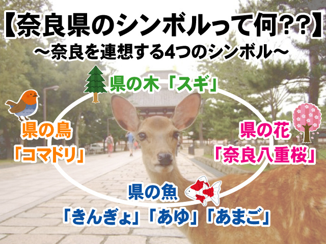 【奈良県のシンボルとは！？】花・木・鳥・魚の由来についての画像