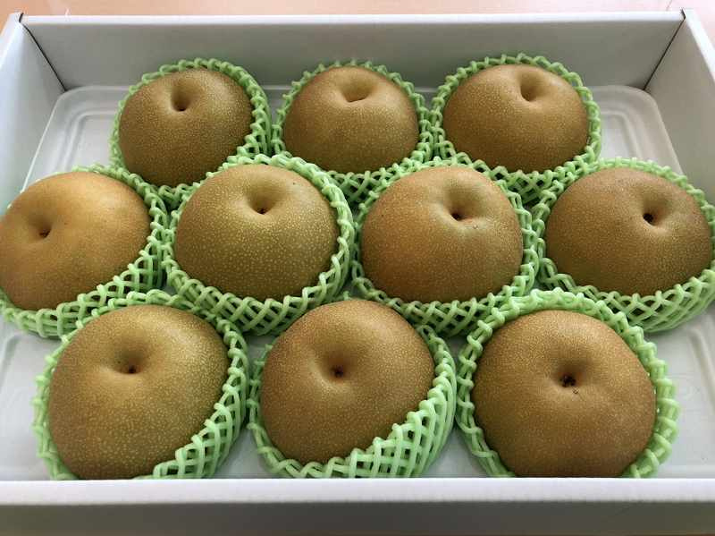 「美味しそうな梨♪」の画像