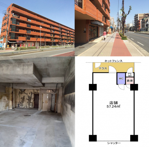 本日の新着情報！！の画像