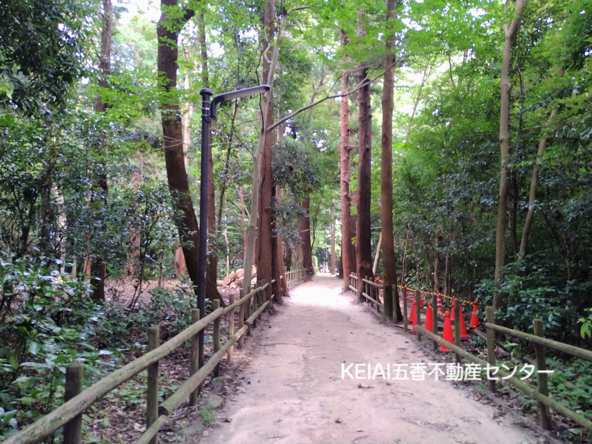 21世紀の森と広場♪の画像