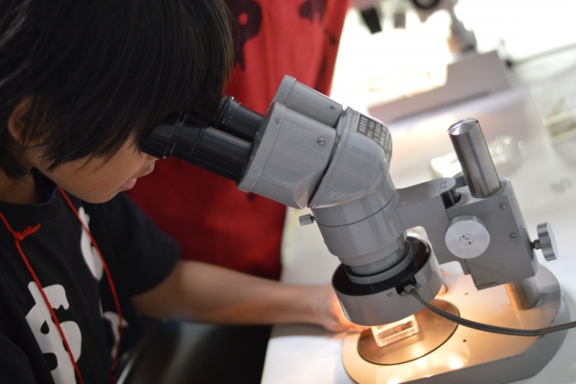 子どもが遊んで学べる！葛飾区の未来わくわく館をご紹介の画像