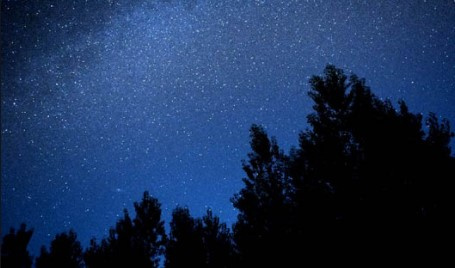 秋の夜長に・・・の画像