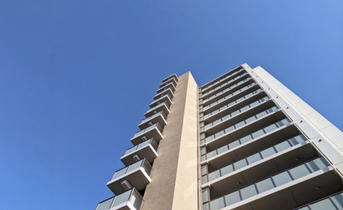 高層階なら大丈夫?虫が苦手な方のための賃貸物件の選び方と防虫対策