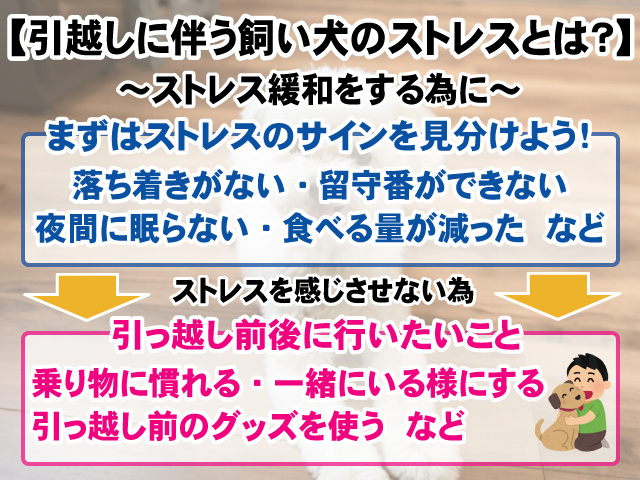 引越しに伴う飼い犬のストレス緩和方法は まずは4つの方法を試してみよう 賃貸のマサキ