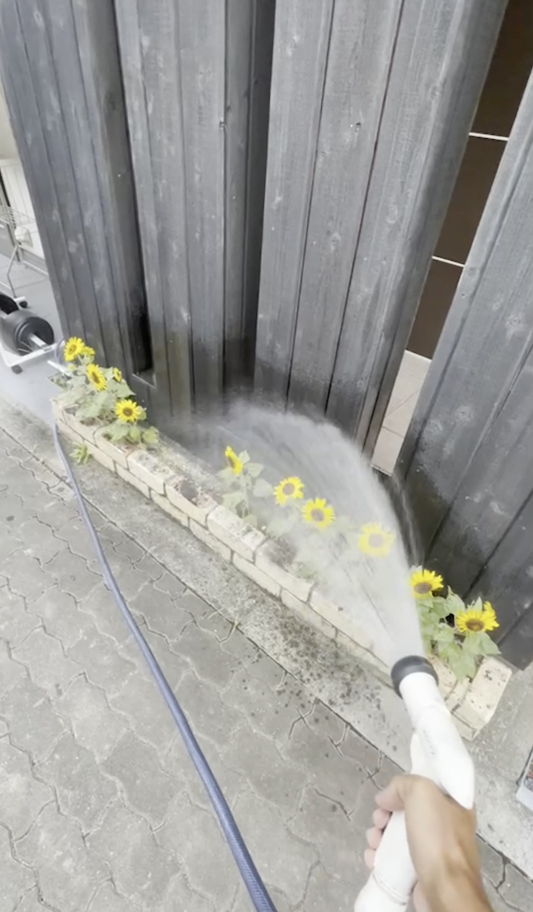 季節は移ろい。。。の画像