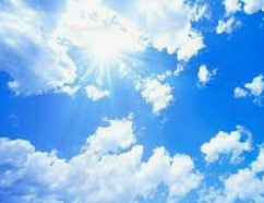 久しぶりの青空で気持いいです～の画像