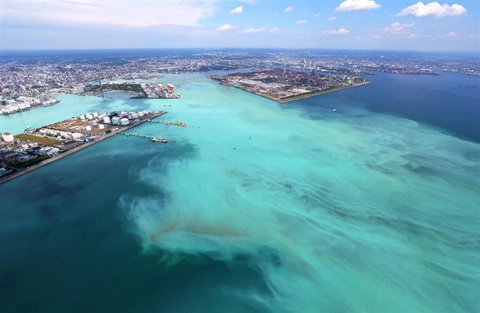 ☆東京湾青潮爆誕☆の画像