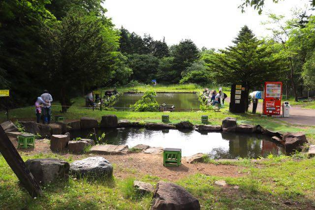 初釣り堀の画像