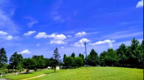 今日も良い天気♫の画像