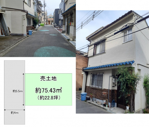 本日の新着情報！！の画像