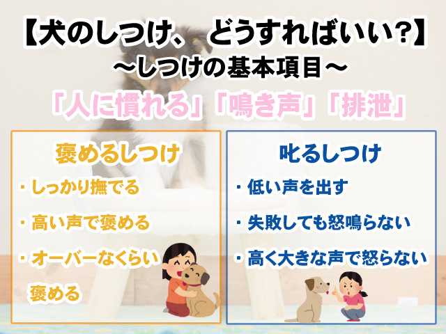 【犬のしつけ、どうすればいい？】低い声で「叱る」・高い声で「褒める」と効果的！の画像