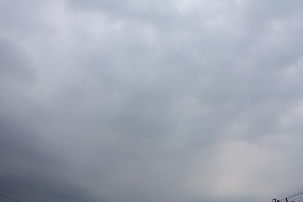 今日はジメジメ空です(´;ω;｀)の画像
